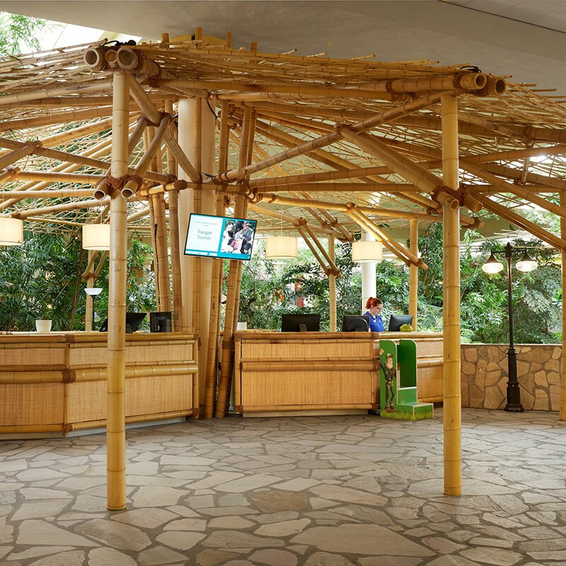 Center Parcs Bispinger Heide-