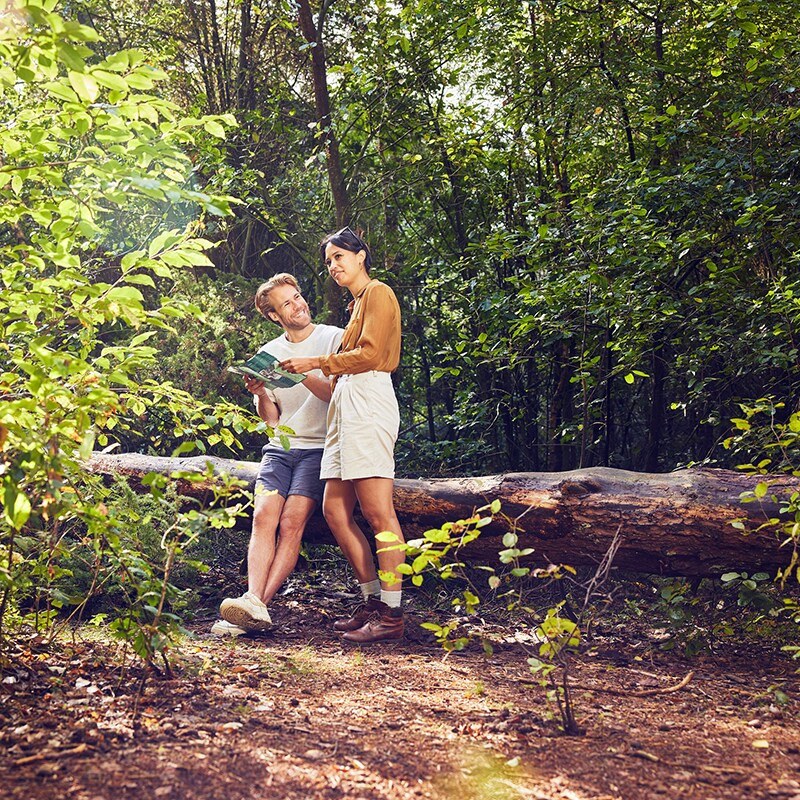Center Parcs Bispinger Heide-