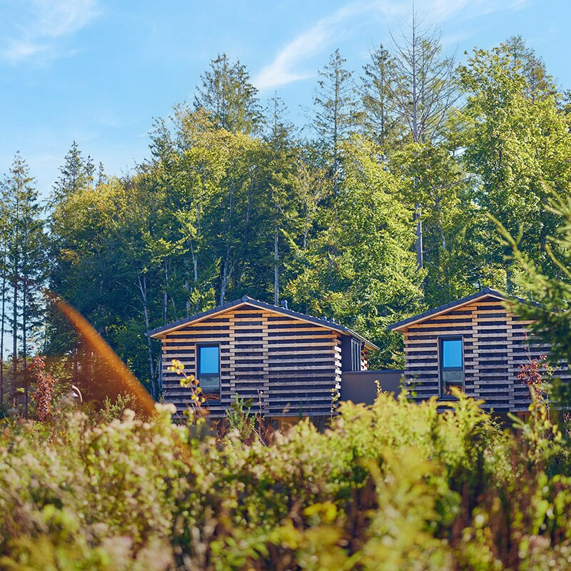 Center Parcs Park Allgäu-