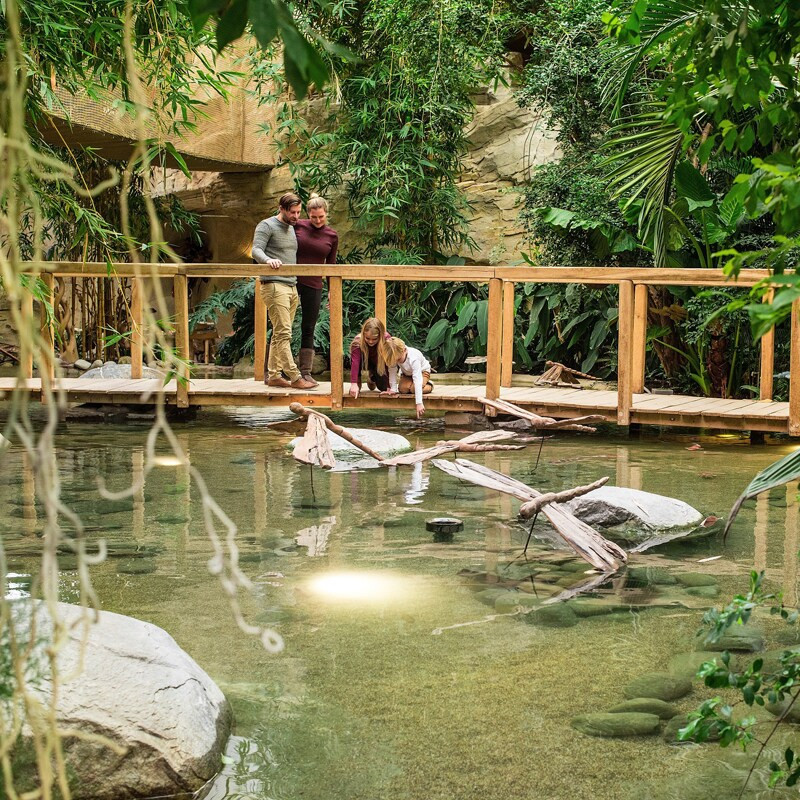 Center Parcs Park Allgäu-