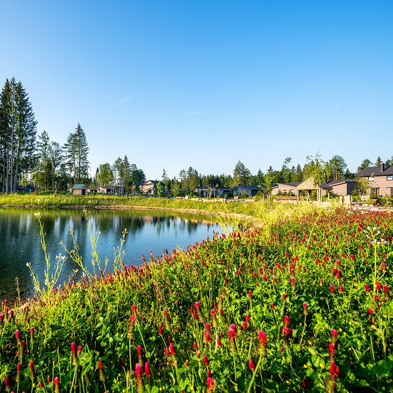 Center Parcs Park Allgäu-