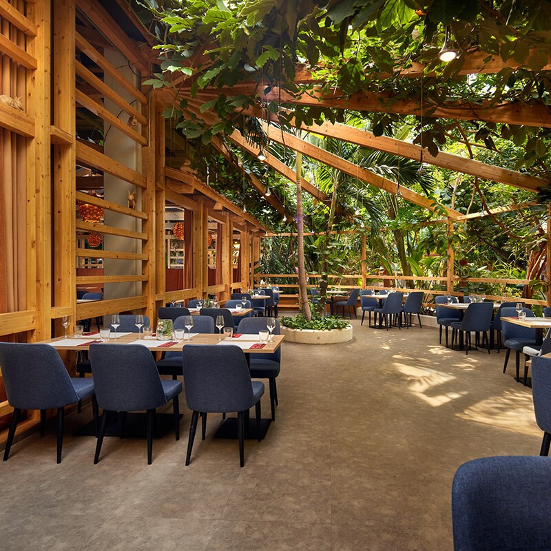 Center Parcs Park Allgäu-