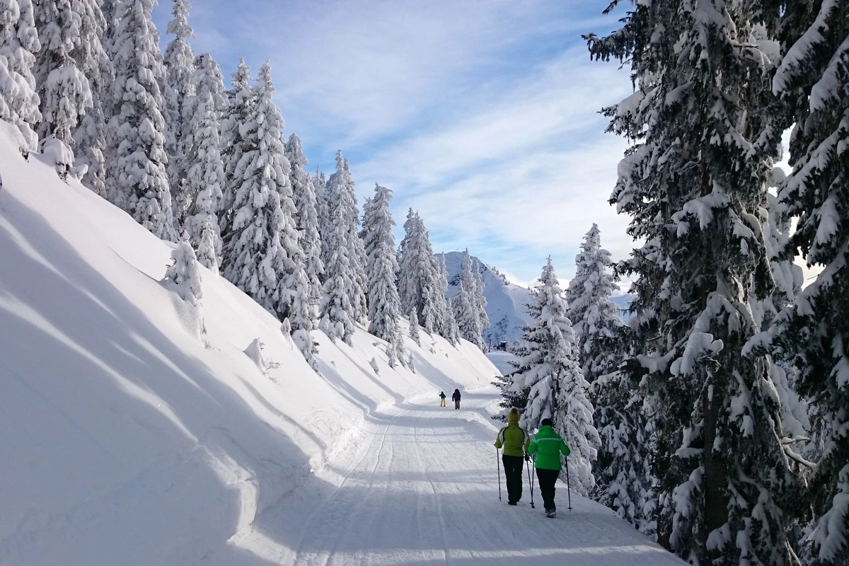Landal Salztal Paradies-