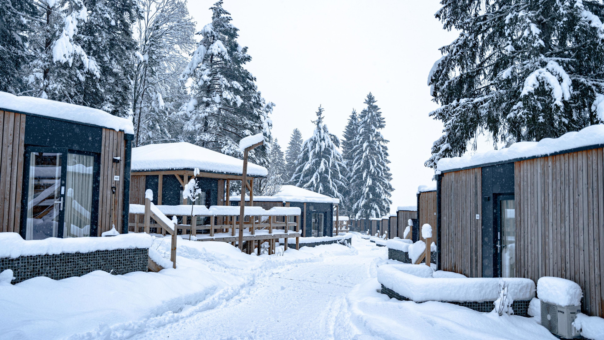 EuroParcs Pressegger see-